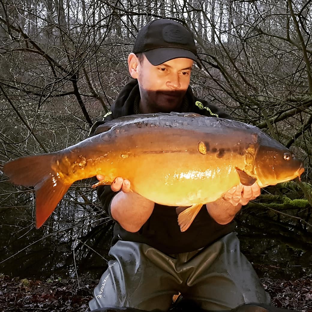 Mirror Carp