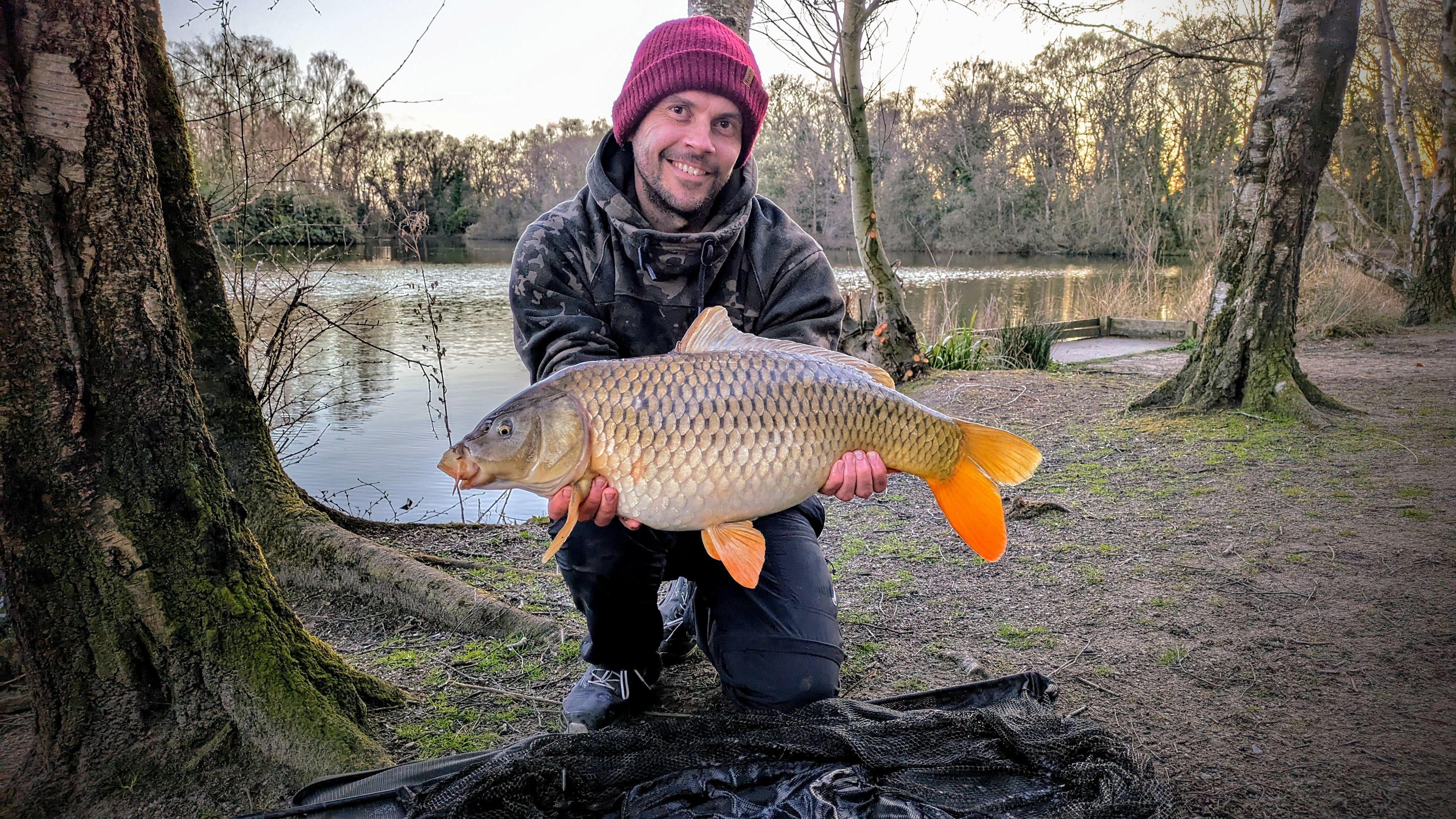 A superb Common Carp ~16lbs