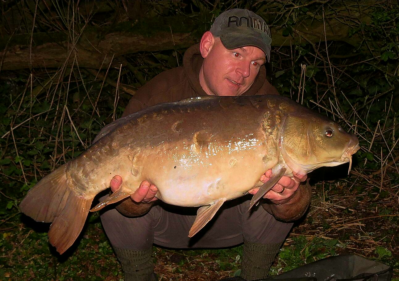 A fish known as "Apple Slice"